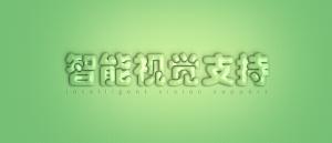 智能多媒体技术下的视觉支持工具，促进儿童生活独立